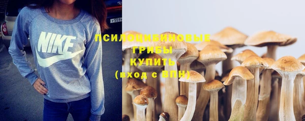 дмт Кулебаки