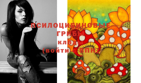 прущая мука Нефтекумск