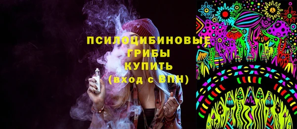 ПСИЛОЦИБИНОВЫЕ ГРИБЫ Нея