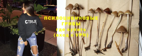 прущая мука Нефтекумск