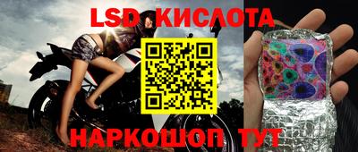 ПСИЛОЦИБИНОВЫЕ ГРИБЫ Волгодонск