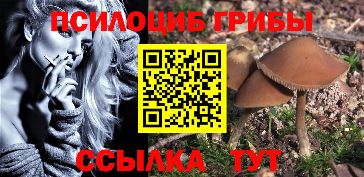 купить   Вход с VPN  Кушва  Галлюциногенные грибы мицелий  Галлюциногенные грибы ЛСД 