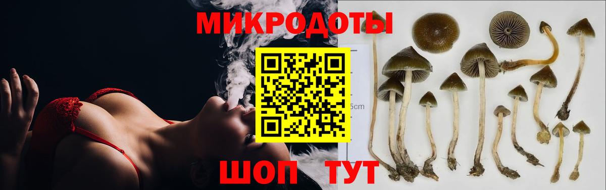 Галлюциногенные грибы мухоморы  Кушва 