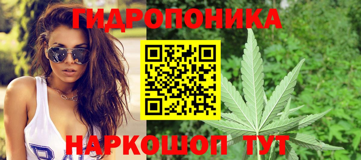Кушва  МАРИХУАНА конопля  Вход с VPN  Бошки Шишки индика  Конопля конопля 