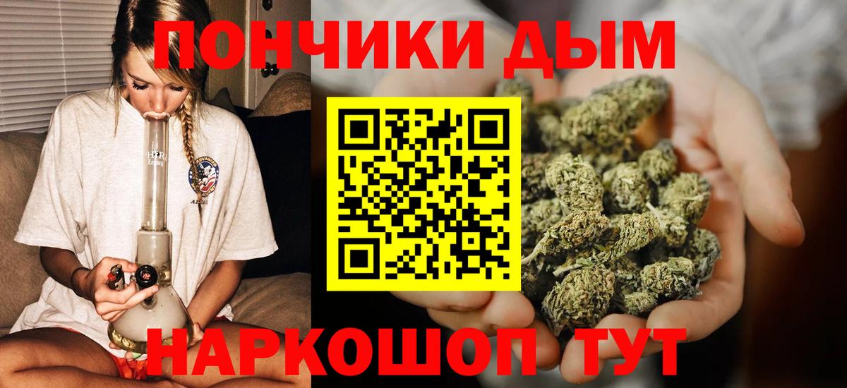 Бошки марихуана сатива Кушва